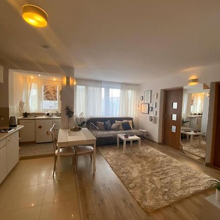 Vicky - New Apartment Centrum Srodmiescie Warsaw Luaran gambar